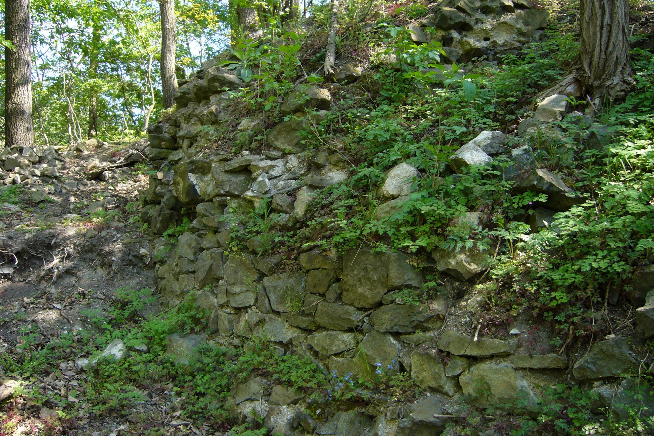 Strážný