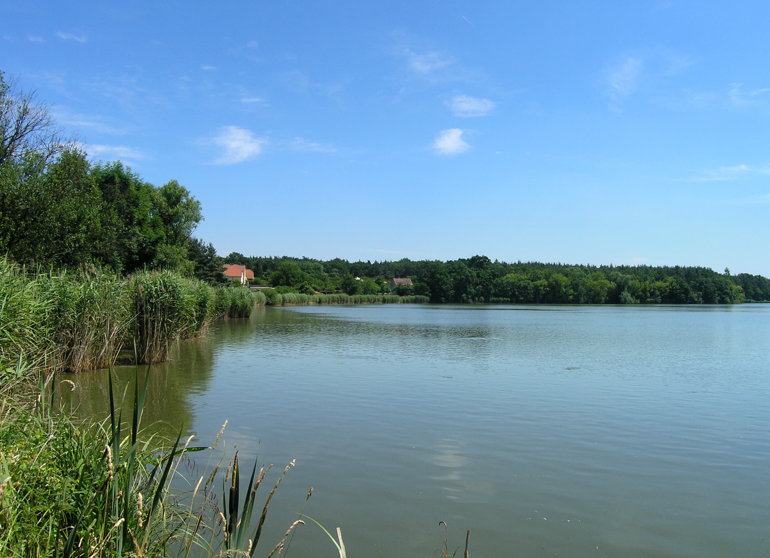 Buňkov