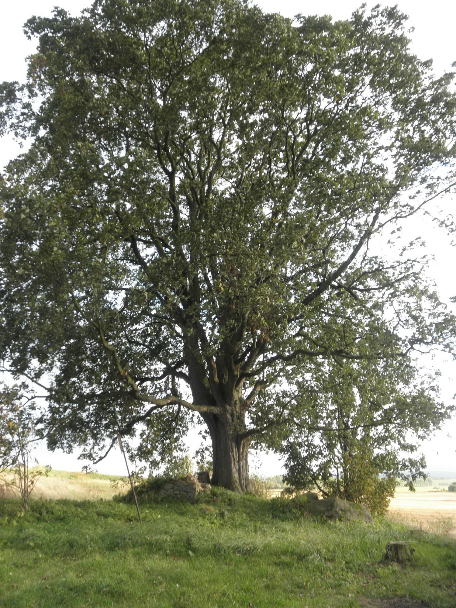 Humný rybník