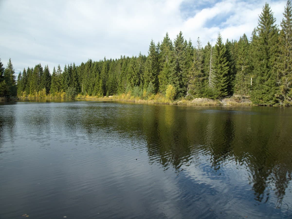 Jiřická nádrž (Pohořský rybník)
