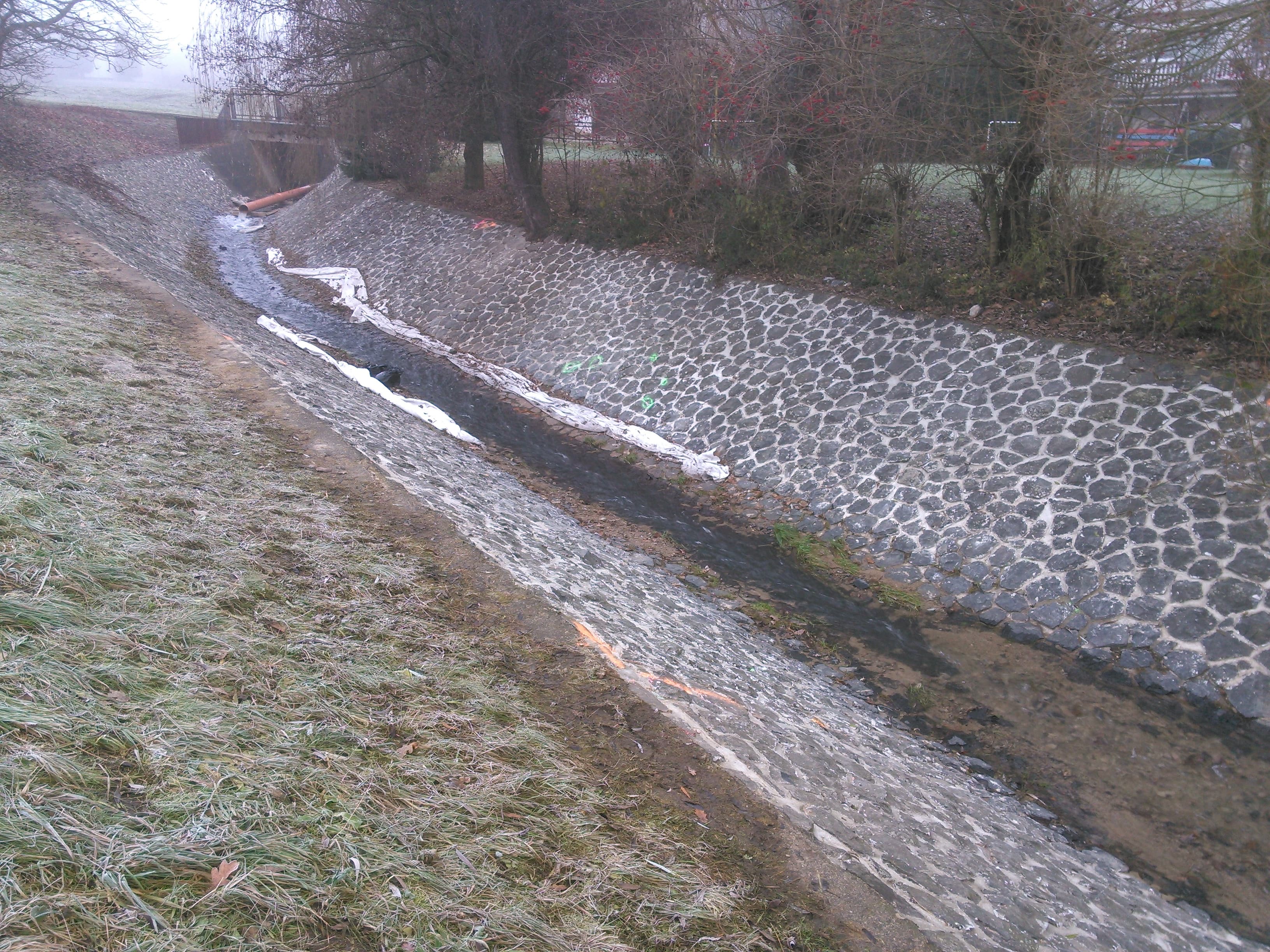 Mlýnský rybník