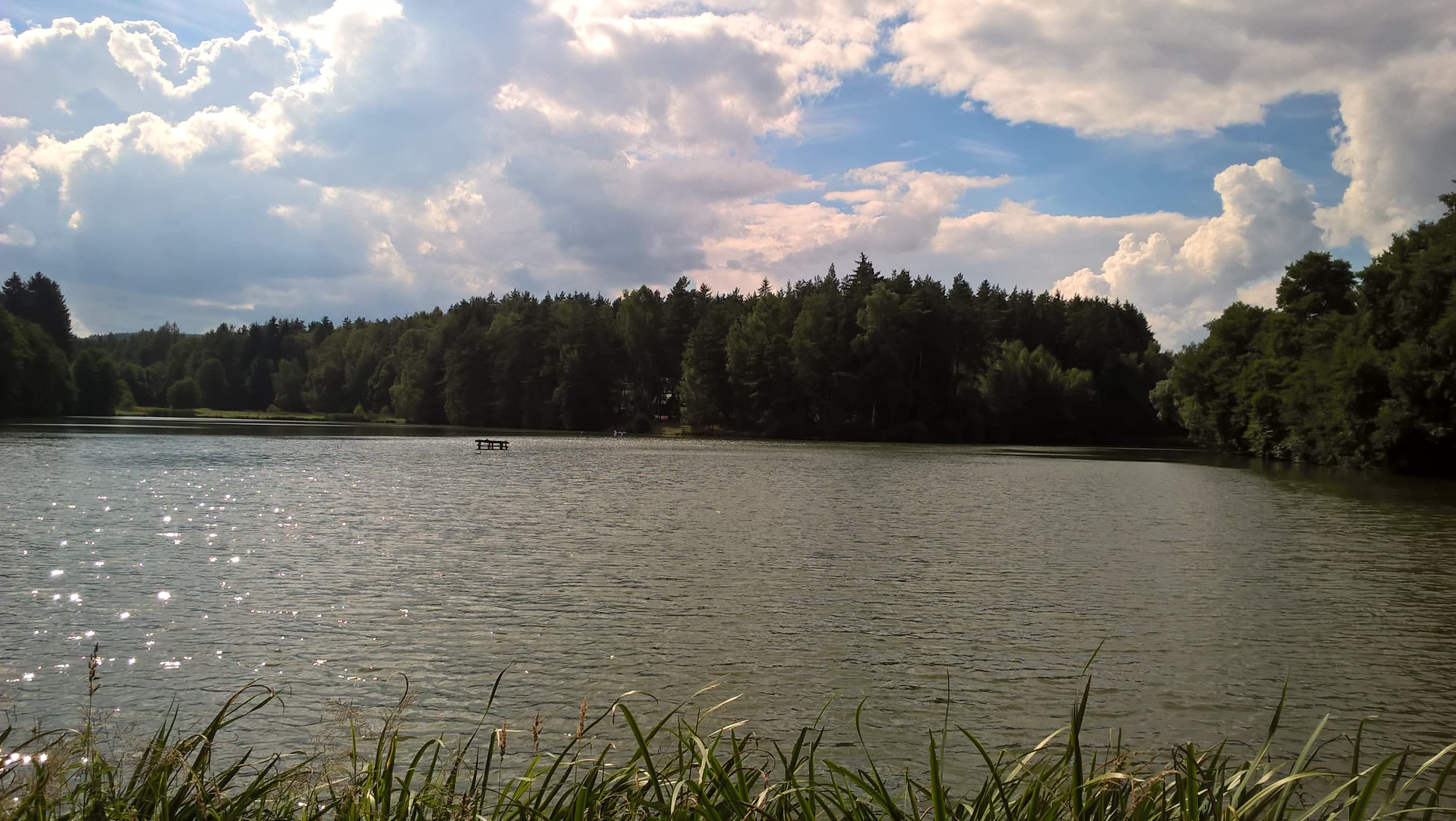 Rybník Ředkovec