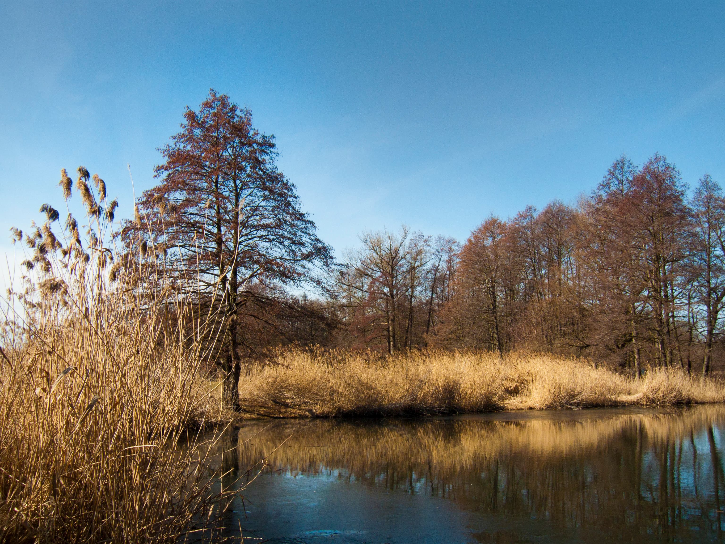 pískový rybník